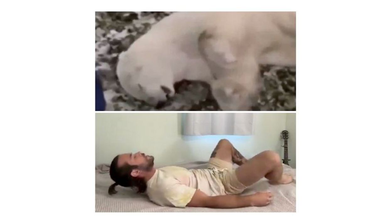 A man and a polar bear convulsing.