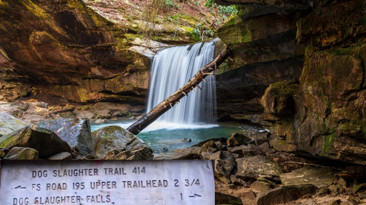 A photo of Dog Slaughter Falls in Corbin, Kentucky