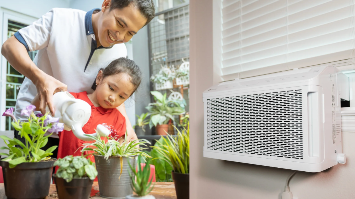 air conditioner, water, plants, money saving tips, environment