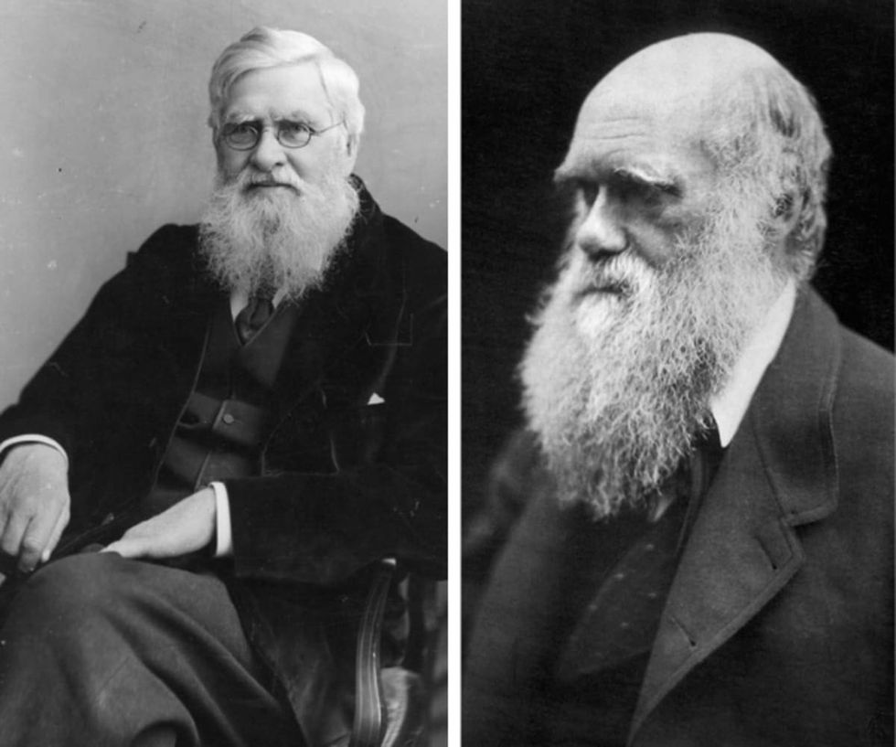 Alfred Russel Wallace and Charles Darwin (L-R)Image Source - Getty Images I Hulton Archive I Bettmann