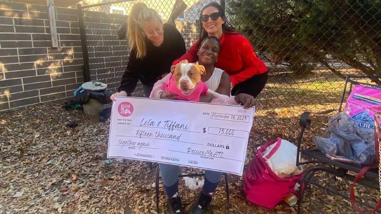 animal welfare, dog reunion, animal shelter, dog parents, fundraisers