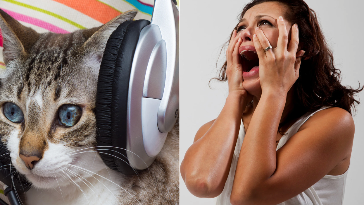 anxiety hacks, stress relief tips, managing anxiety, mental health advice, natural anxiety relief, panic attack help, grounding techniques, mental health survey