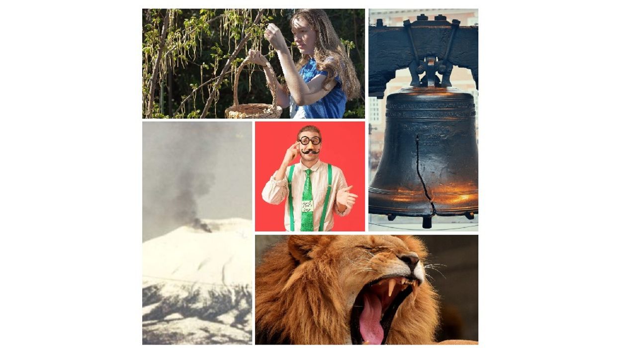 april fools, pranks, april fool's day, funny, jokes