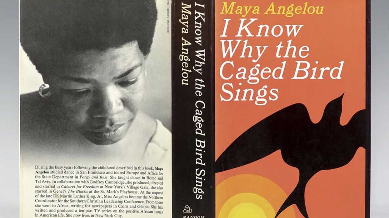 author, bestseller, womanhood, trauma, black culture, literary, Grammy Awards, racial barriers