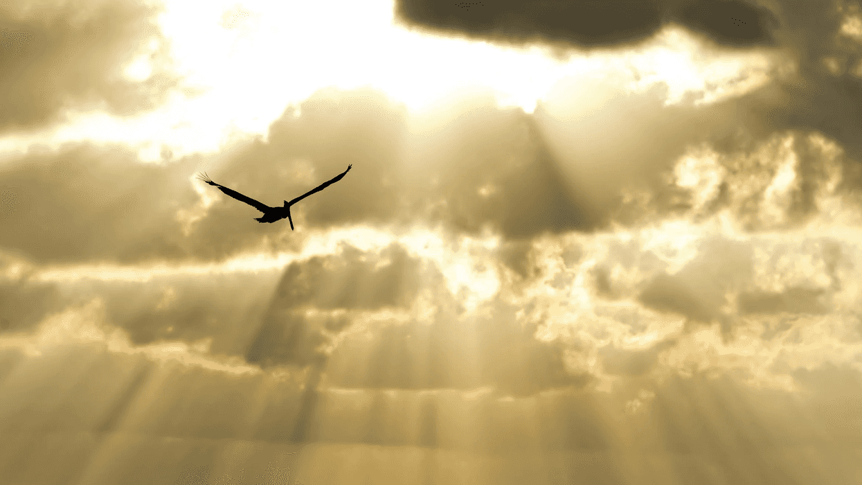 BJ Miller hospice, moments after death, palliative care explained, Zen Hospice Project, death and dying, Oprah Winfrey BJ Miller interview, sensation of dying