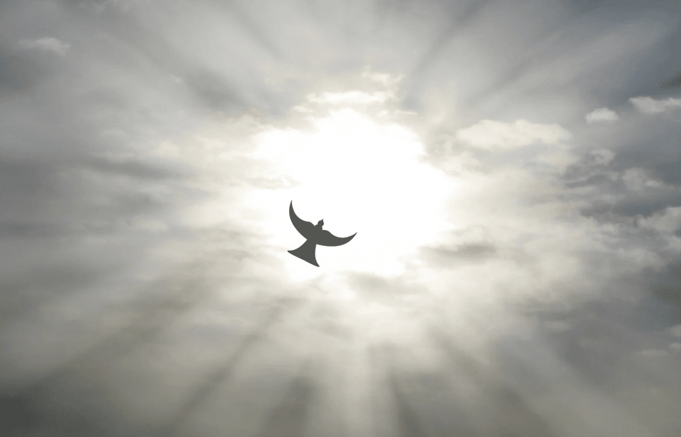 BJ Miller hospice, moments after death, palliative care explained, Zen Hospice Project, death and dying, Oprah Winfrey BJ Miller interview, sensation of dying