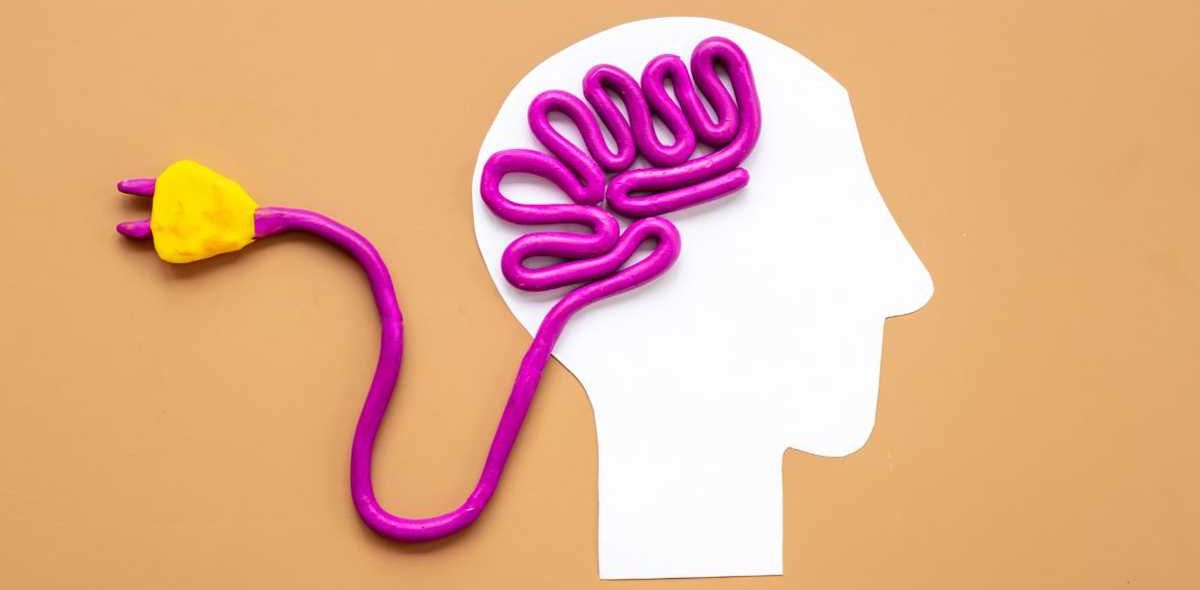 brain power, practical applications, new skill, healthy habits, life lessons, revisiting information, neuroplasticity, cognitive load