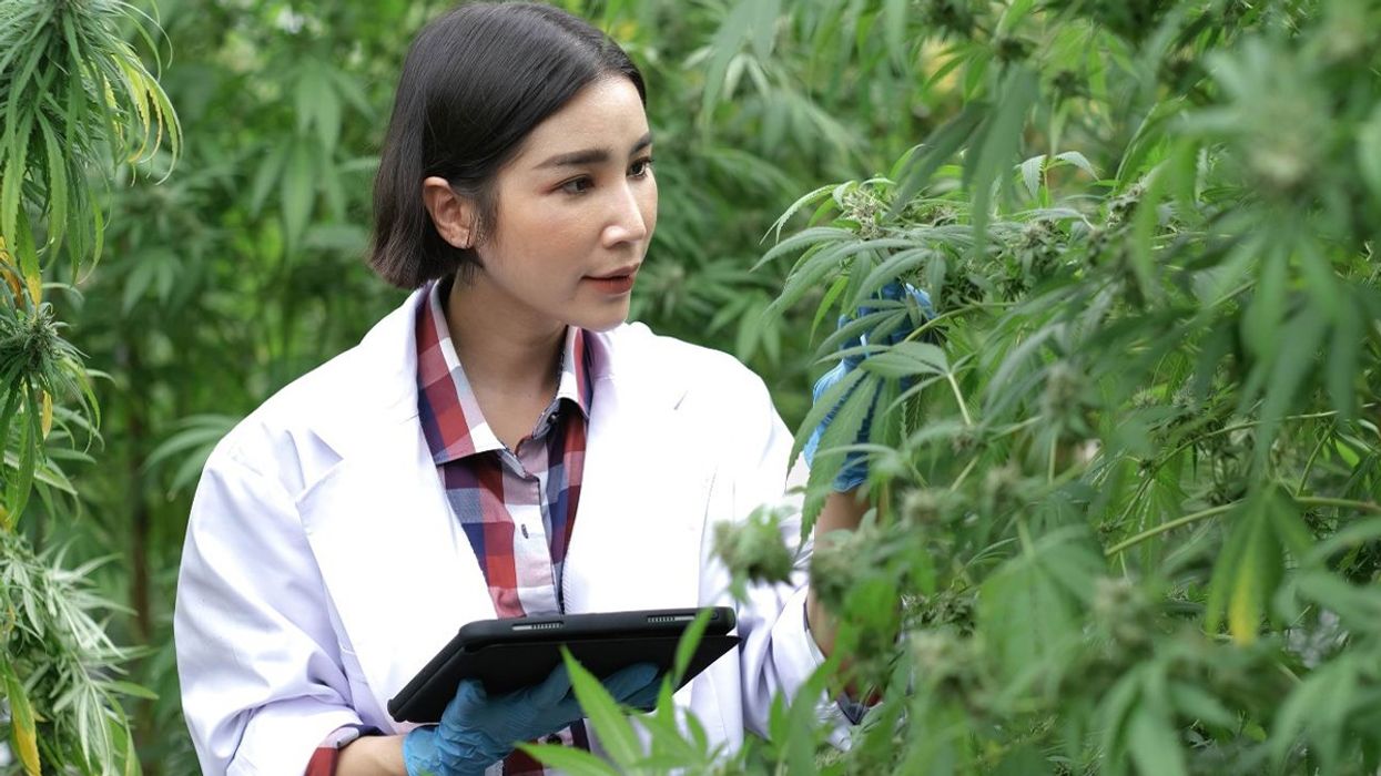 cbd benefits, weed risks, marijuana effects, cannabis research, epigenetic code, smoking cigarettes