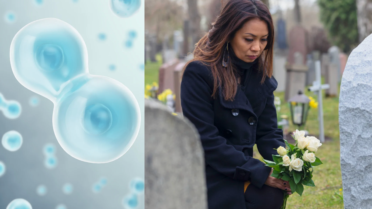 cells, science, consciousness, life, death