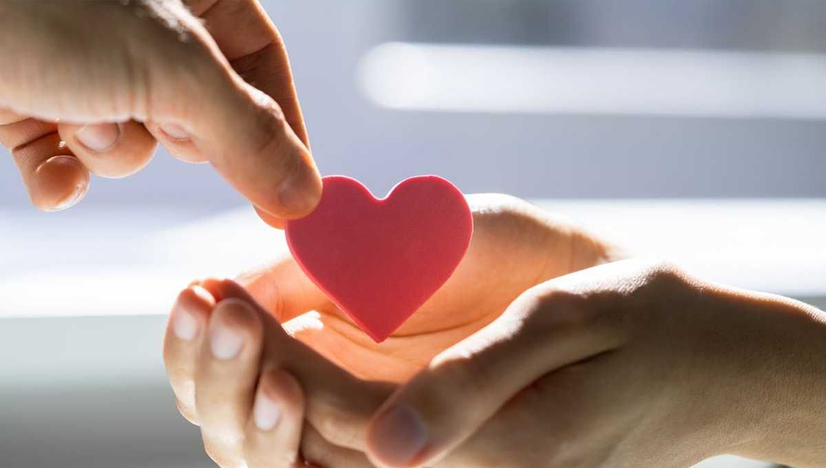 charitable donations, emotional appeal, cost, logistics, resale, methodology, high-impact giving, overhead