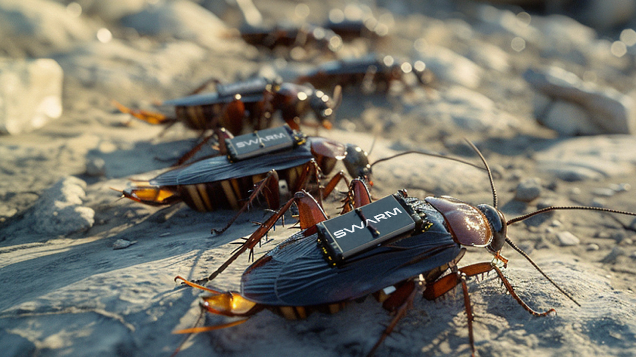 cockroaches, search and rescue, science, technology, robotics