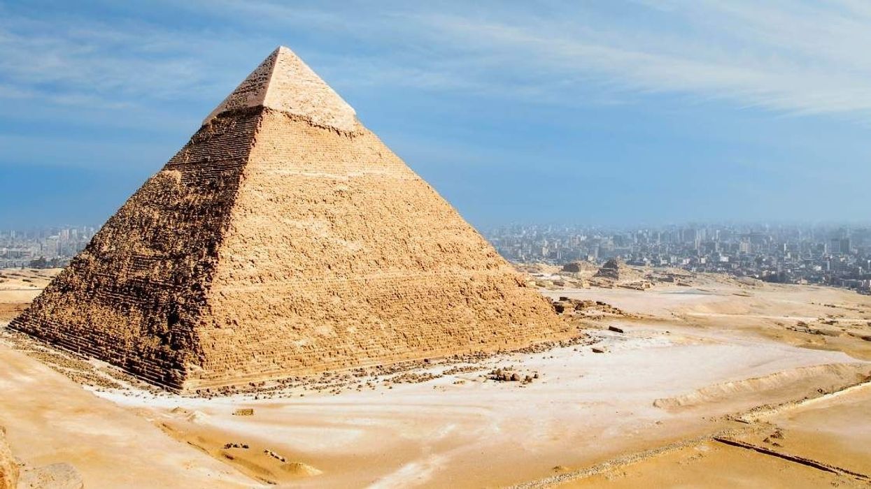 Paraglider gobsmacked after finding a dog chilling at the top of the Great Pyramid of Giza