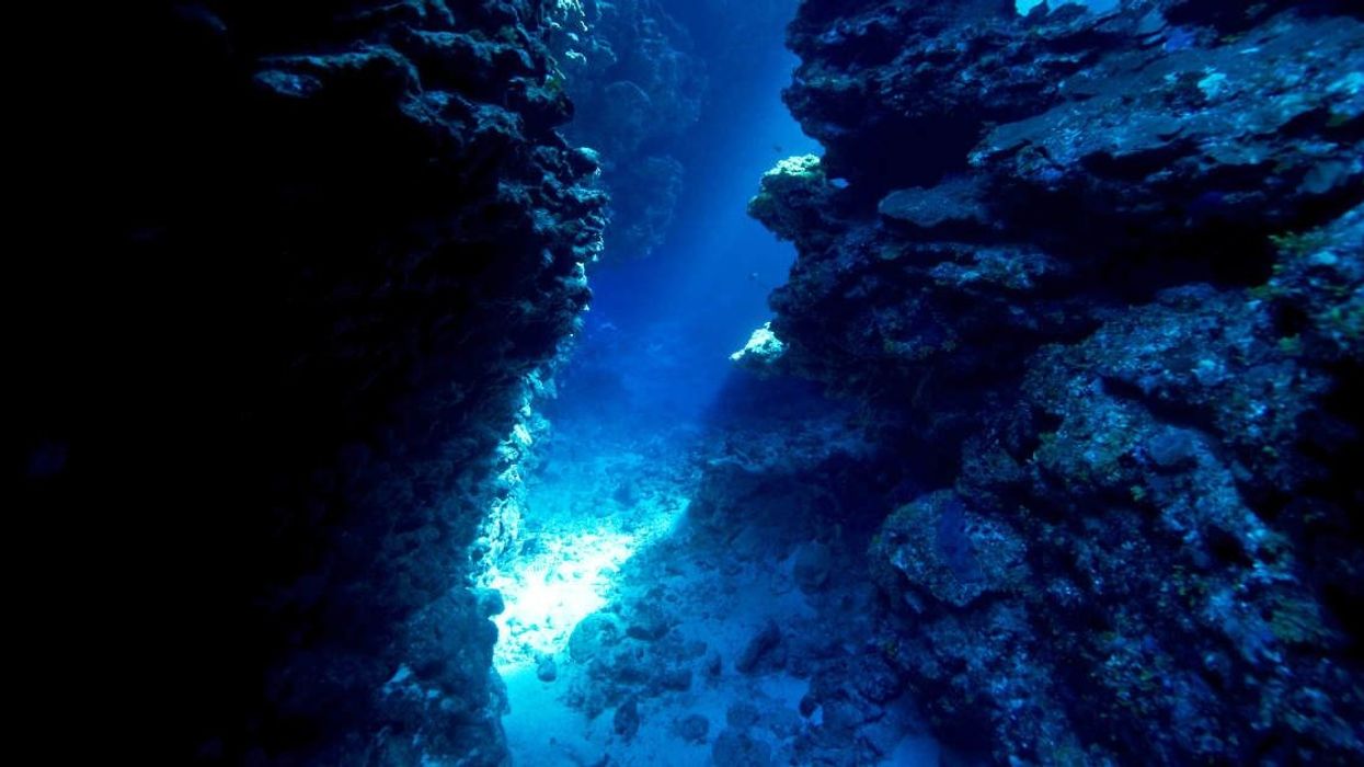 Man drops GoPro from cruise ship into the depths of the ocean and the result is magnificent yet 'terrifying'