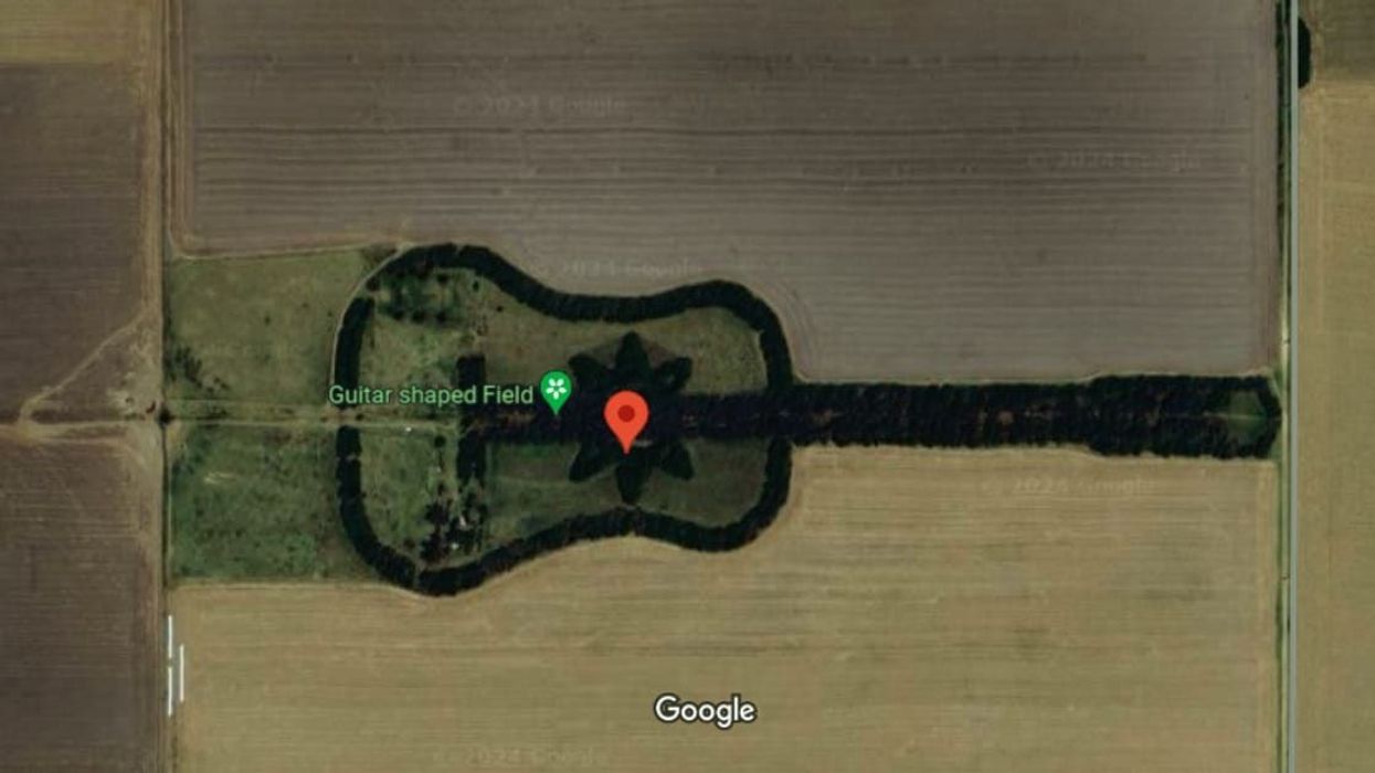 Husband spends 40 years growing guitar-shaped forest to fulfill his late wife's wish