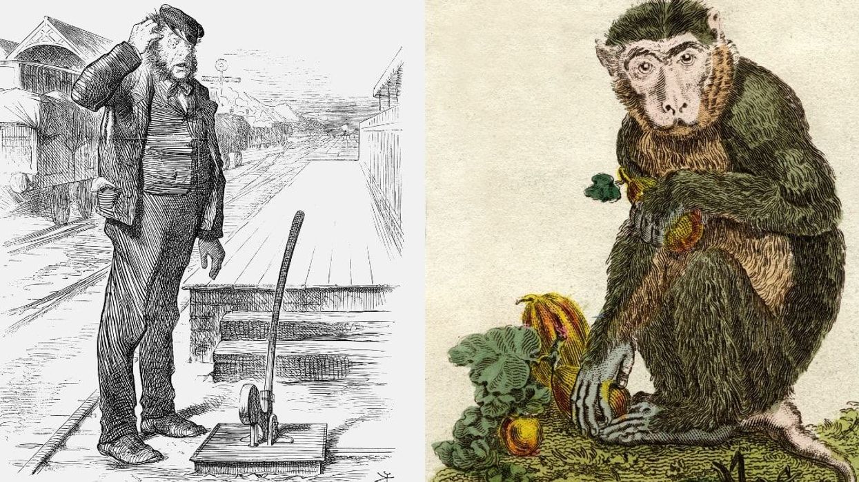 Meet the baboon who officially operated railway signals for nine years and never made a single mistake