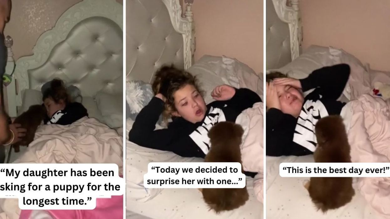Daughter has the most adorable reaction to getting surprised with a puppy she had been asking for