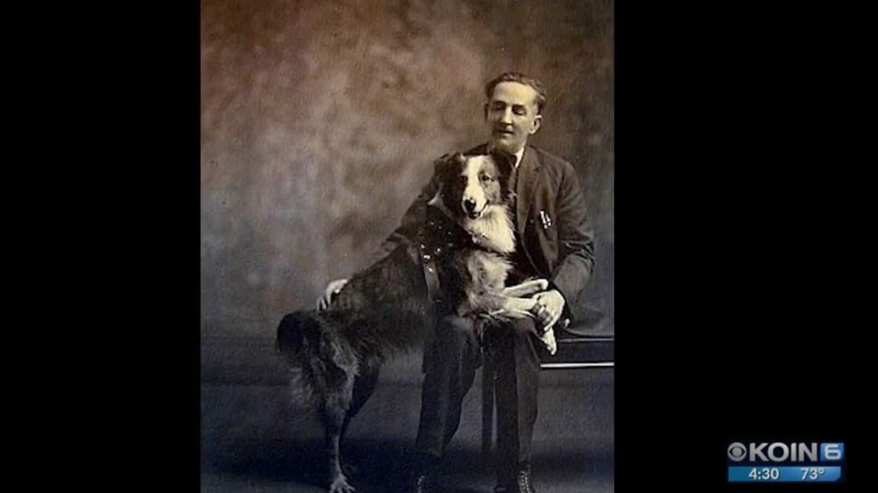 A 'wonder dog' left everyone stunned by walking 3000 miles back to its home in 1924