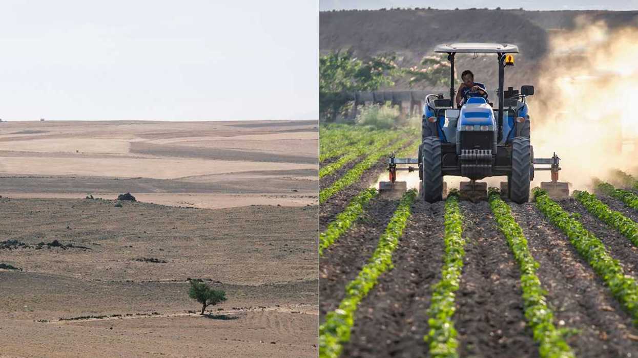 desert, farming, arid climate, low-water usage, crop strategies, drought, plant function