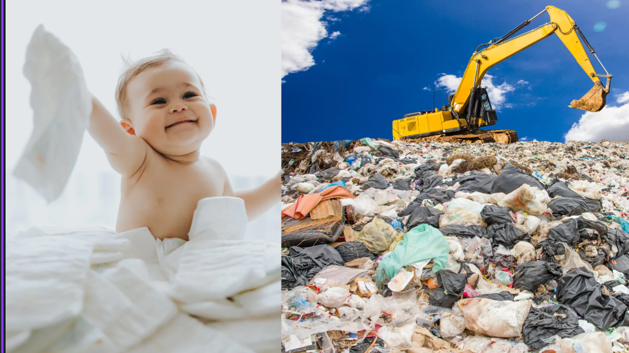 diaper, landfill, environment, waste, fungi