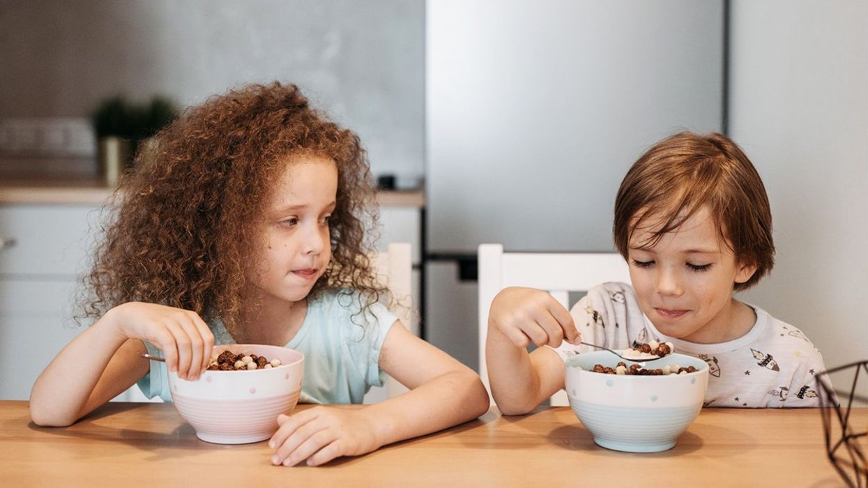 direct aggression, social aggression, hostile behavior, family dynamics, sibling rivalry, sibling aggression, community, culture