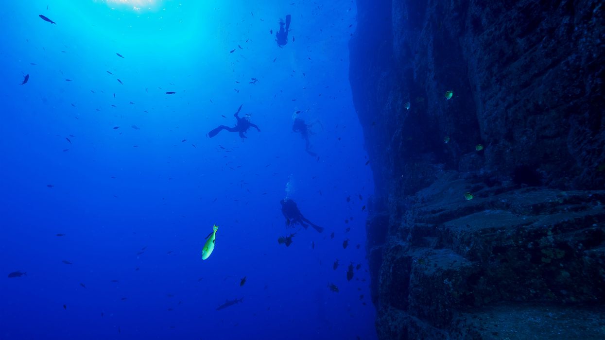 divers ocean diving next to a rock wall