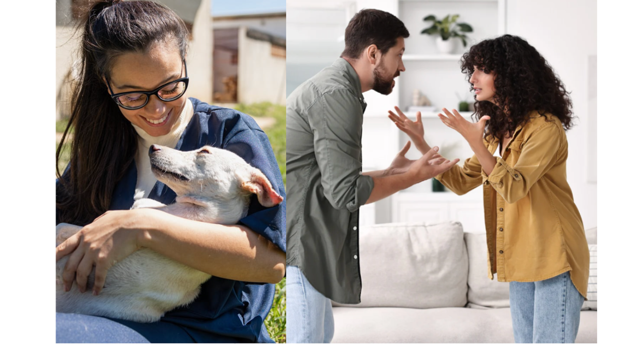 dog ownership, scientific study, relationship study, complex relationships, healthy relationships