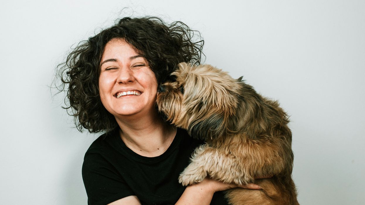 dog, science, owner, appearance, pet, love, dogs look like owners