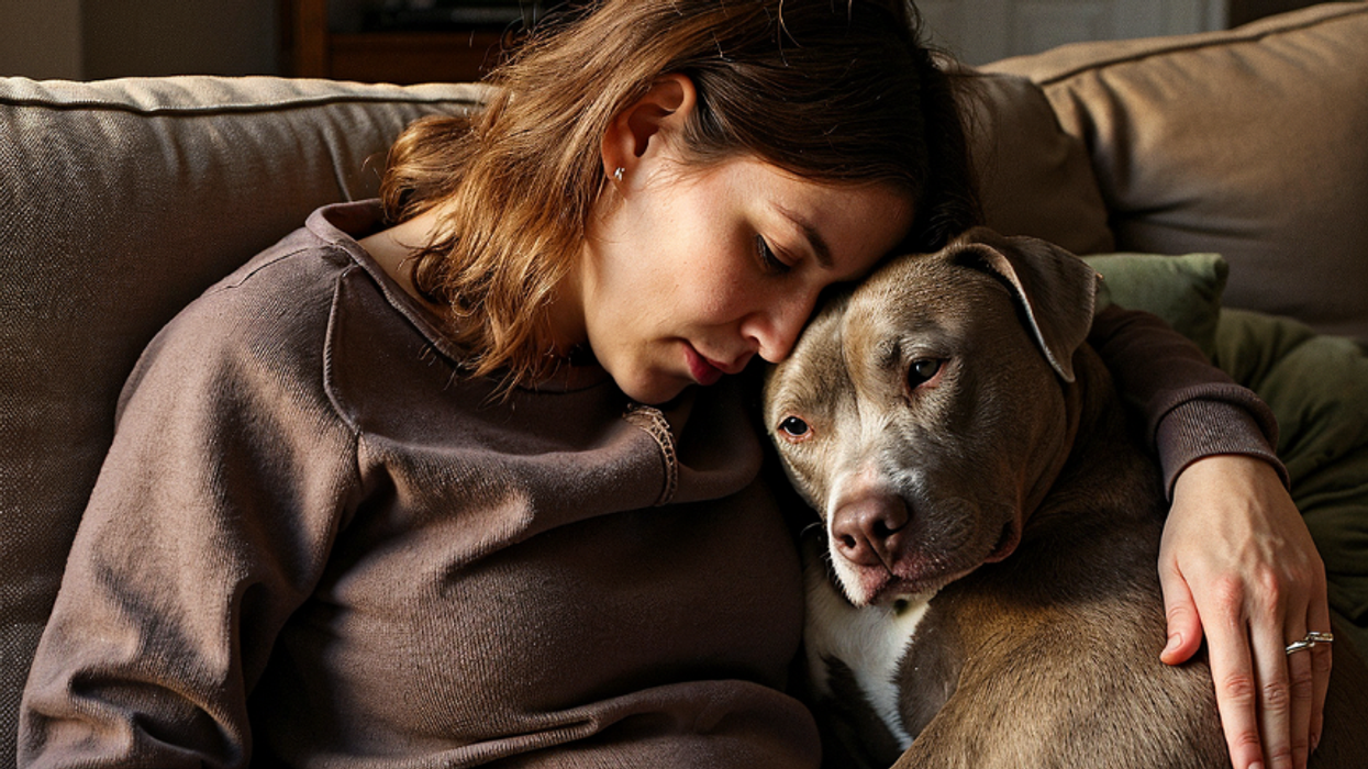 dogs,  wife internet mystery, protective pet, strange illness, husband looking for help, helpful dog