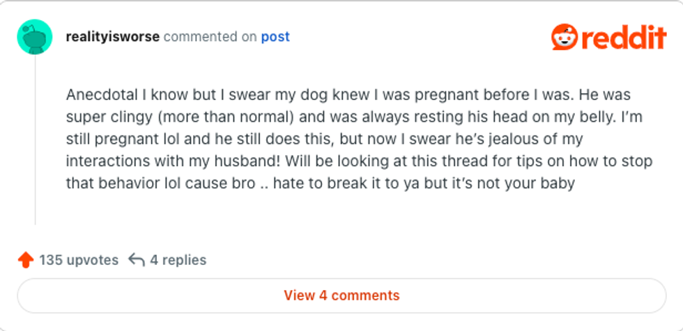 dogs, wife internet mystery, protective pet, strange illness, husband looking for help
