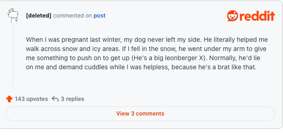 dogs, wife internet mystery, protective pet, strange illness, husband looking for help