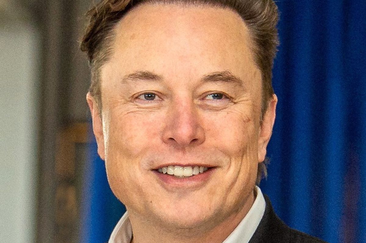 Elon Musk, Tesla, rebranding, electric cars, electric
