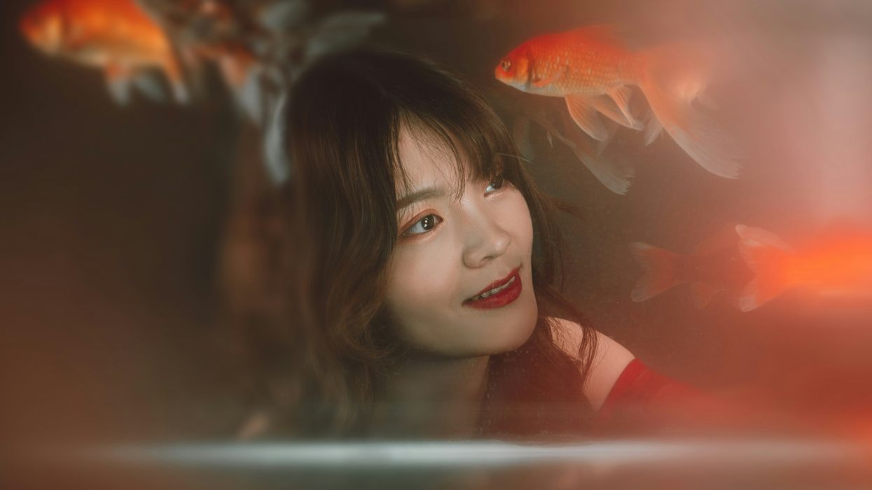 fish, teeth, ocean, swimming, science, history, nature, evolution, paleontology