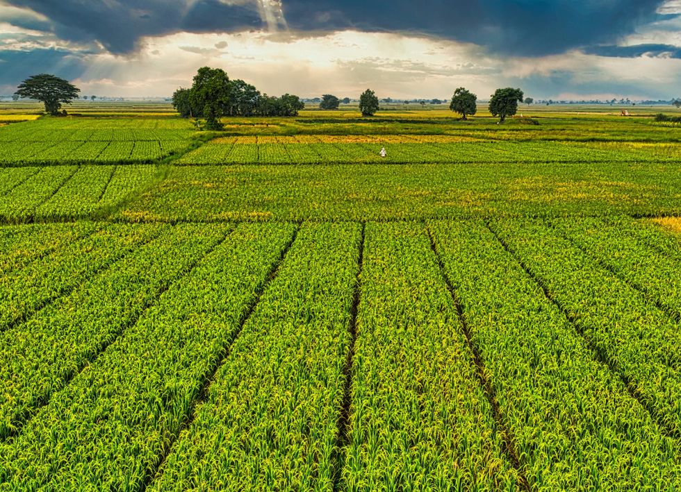 future predictions, 2075, barbaric habits, Reddit AskReddit, societal change, medical advancements, factory farming, child influencers, future tech, cultural shifts