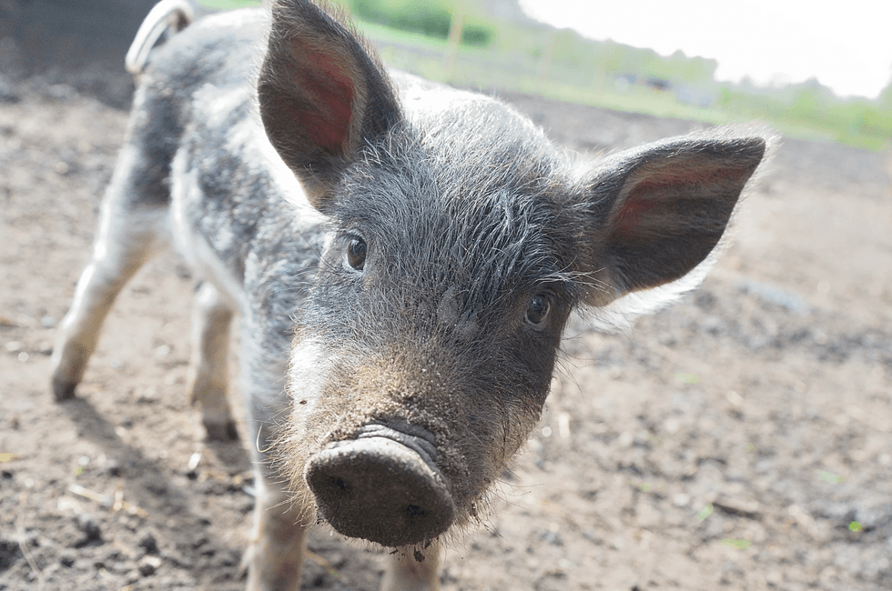 future predictions 2075, barbaric habits, Reddit AskReddit, societal change, medical advancements, factory farming, child influencers, future tech, cultural shifts