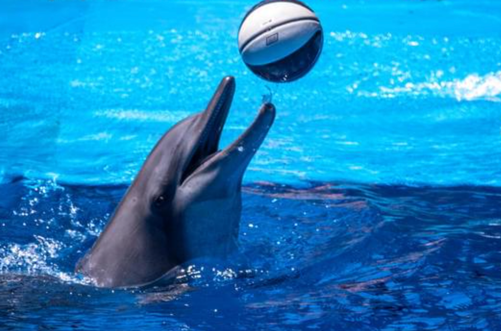 future predictions, Reddit, AskReddit, social commentary, ethics, environmentalism, healthcare reform, technology, modern life, societal progress