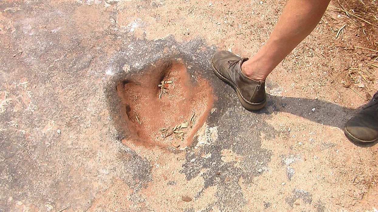 Gondwana, dinosaur footprints, Brazil dinosaurs, Cameroon fossils, tectonic plates, Atlantic Ocean history, Pangea, paleontology, SMU research, dinosaur migration, prehistoric rivers, theropod tracks, sauropod tracks, fossil pollen, Borborema fossils, Koum Basin, Cretaceous period, dinosaur evidence, plate tectonics, supercontinent breakup