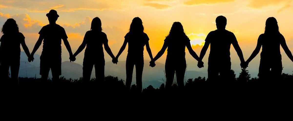 grasslands, ecosystem, nature, environment, logging, conservation, wildfires