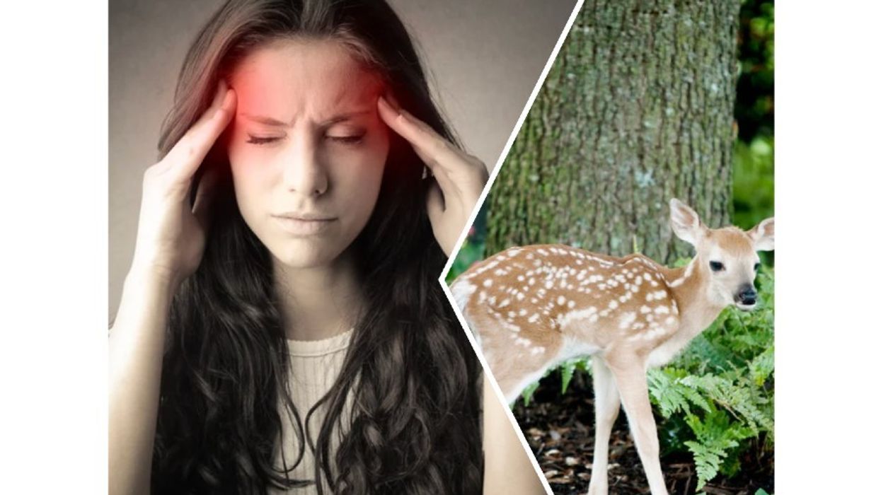headache, woman, baby deer, nature, healing