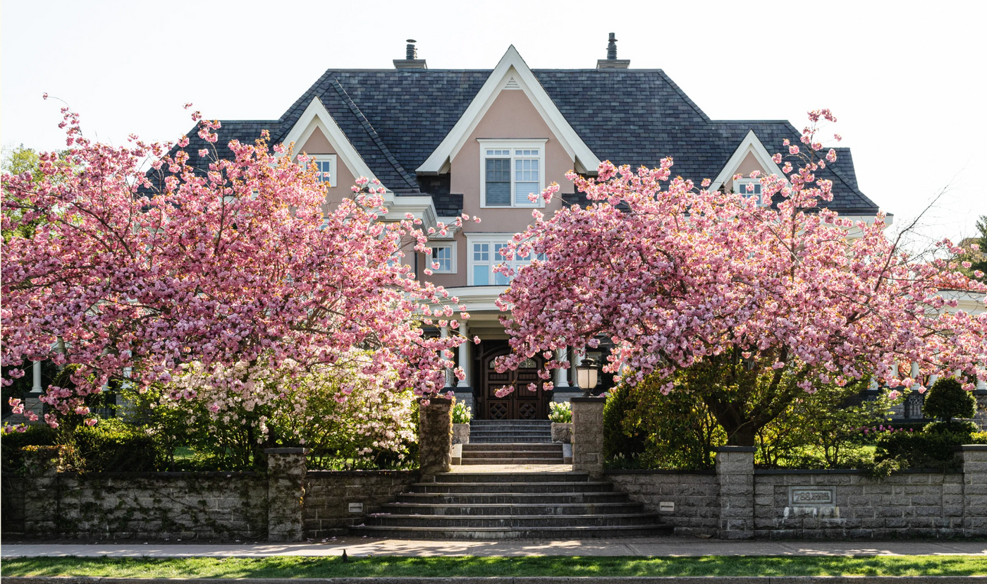 HOA dispute, homeowner revenge, unauthorized tree trimming, mulberry tree lights, petty revenge story, HOA conflict, neighborhood drama, property boundaries, Christmas lights prank, Reddit HOA stories