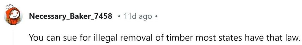 hoa, homeowner revenge, viral reddit stories, christmas lights, tree trimming drama, neighborhood disputes, diy protest, funny homeowner stories