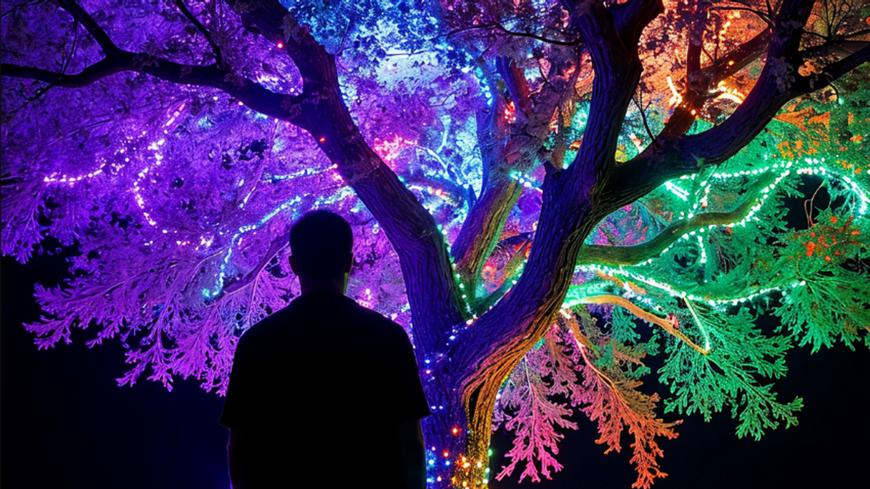 hoa, homeowner revenge, viral reddit stories, christmas lights, tree trimming drama, neighborhood disputes, diy protest, funny homeowner stories