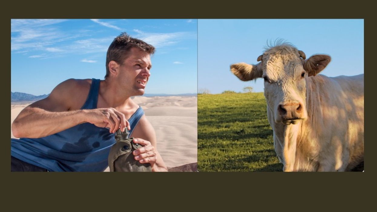 hydration, milk, protein, water, health advice, health