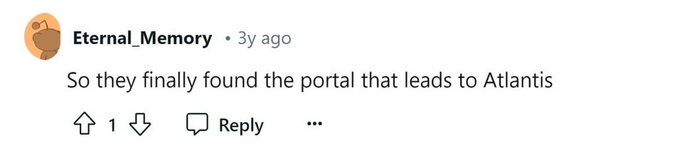 Image Courtesy: Reddit |