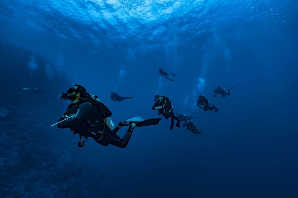 Image Source: A group of divers are swimming along the reef on May 01, 2017 off the Red Sea, Egypt.(Photo by Alexis Rosenfeld/Getty Images)