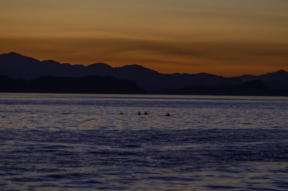 Image Source: Adriatic Sea (Photo by Damir Sagolj/Getty Images)