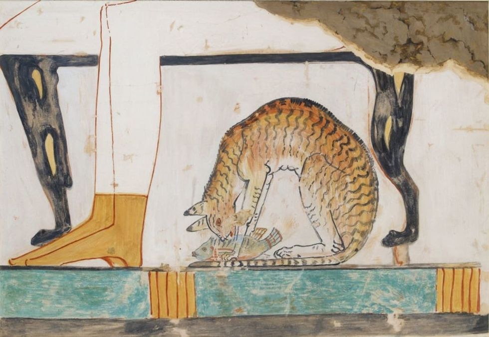 Image source: Copy of wall painting from private tomb 52 of Nakht, Thebes (I, 1, 99-102) cat eating fish, 20th century. Framed. (Photo by Ashmolean Museum/Heritage Images/Getty Images)