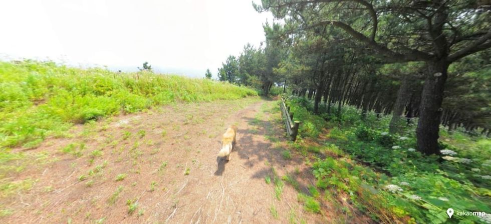 Image Source: Daum Kakao Maps