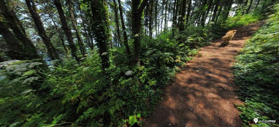 Image Source: Daum Kakao Maps