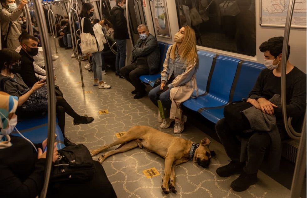 Image Source: Getty Images | Photo by Chris McGrath/Getty Images