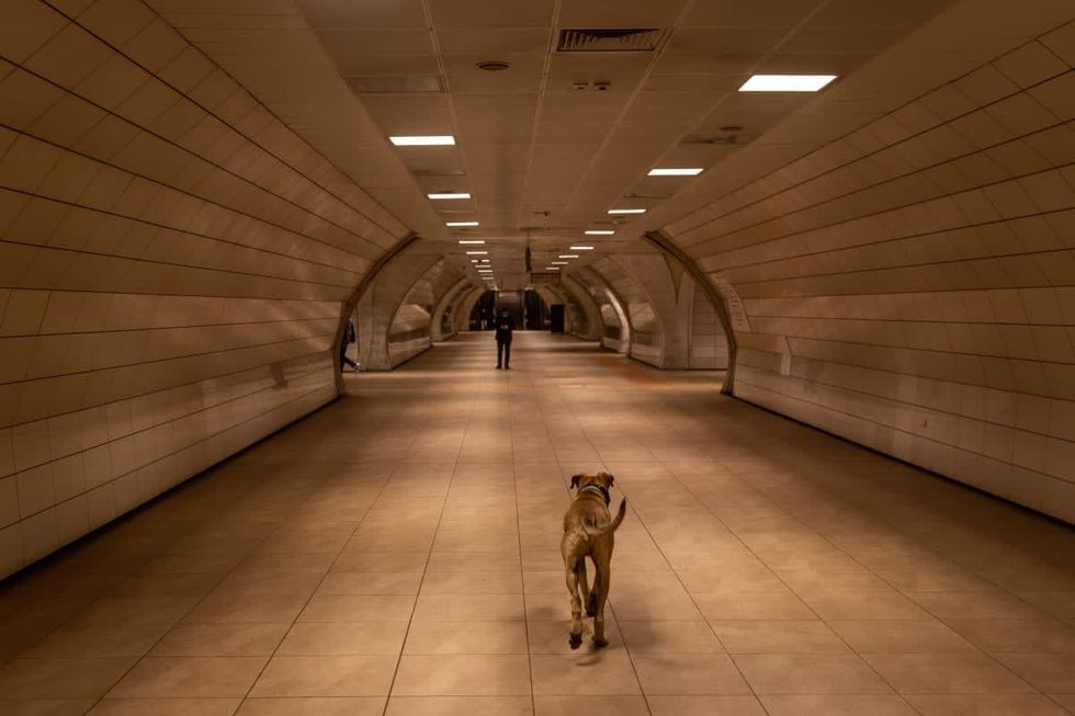 Image Source: Getty Images | Photo by Chris McGrath/Getty Images